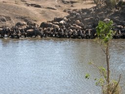 Western_Corridor2009-14